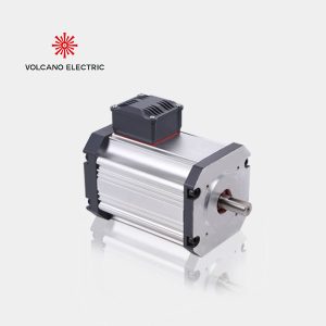 Brushless DC Motor
