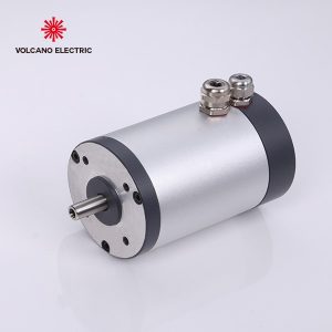 Brushless DC Motor