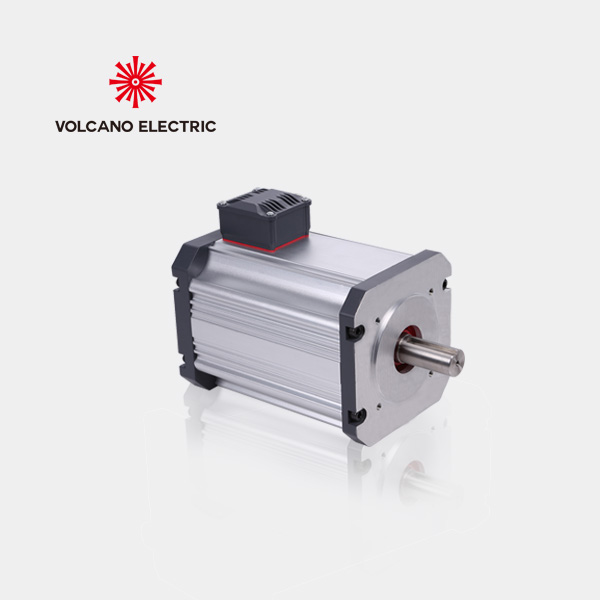 Sensored 12v 0.5hp 3000rpm BLDC Motor