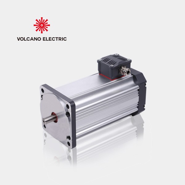 36V 1300 W 3200 U/min elektrischer BLDC-Motor