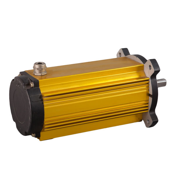 60V 1 PS 2000 U/min bürstenloser Gleichstrommotor