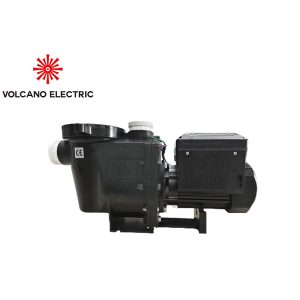 Pump Motor