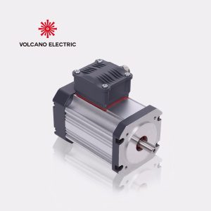 Brushless DC Motor