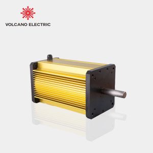 Brushless DC Motor