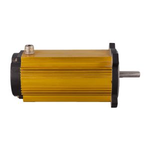 Brushless DC Motor