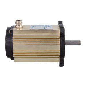 Brushless DC Motor