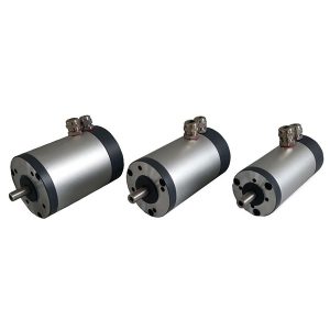 Low Voltage Permanent Magnet Motors