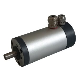 Permanent Magnet Motor