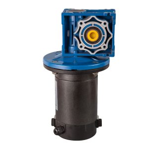 Brushed DC Motor
