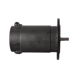 Brushed DC Motor