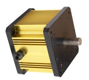 Brushless DC Motor