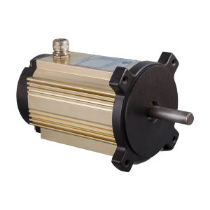 Brushless DC Motor
